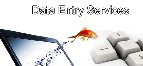 Data Entry Services In Jammu and Kashmir JK